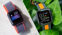 Американцы предпочитают Apple и Fitbit и не интересуются Samsung. Появилась статистика рынка носимой электроники для Северной Америки