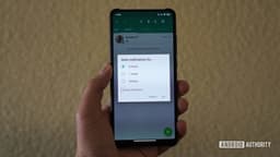 Долгожданное новшество WhatsApp. Чат можно заставить замолчать навсегда