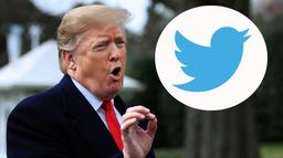 Twitter уже поплатился за блокировку Трампа. Акции компании рухнули