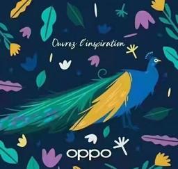 8-дюймовый экран OLED 2К, пара 50-мегапиксельных камер, Snapdragon 888, 4500 мА·ч и 65 Вт. Предварительные характеристики складного флагмана Oppo Find N