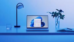 Microsoft обновила Windows 11, Windows 10, Windows 8.1 и Windows 7, но не всё прошло гладко