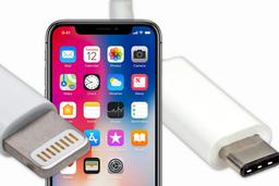 Первый в мире модифицированный Phone X с разъёмом USB-C продан на аукционе