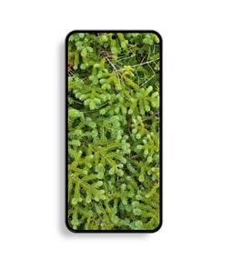 «Поверьте, когда вы увидите Galaxy S22 спереди, смартфон понравится вам ещё больше», — Ice Universe показал новые рендеры смартфона