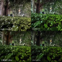 Meizu 18 Pro в сложных условиях фотографирует лучше iPhone 12 Pro Max, Samsung Galaxy S21 Ultra и Oppo Find X3 Pro