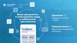 В России анонсировали «ГосДоки»: приложение для хранения и предъявления документов