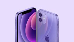 В России уже можно заказать новые iPhone 12 и iPhone 12 mini в фиолетовом цвете