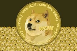 Известный криптоэнтузиаст Майкл Новограц не советует связываться с Dogecoin