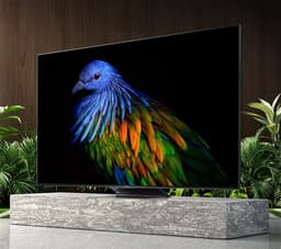 Диагональ экрана до 75 дюймов и качество картинки не хуже, чем у Sony. Xiaomi показала флагманский телевизор Mi TV 6 Extreme Edition и рассказала о ТВ Mi TV ES 2022