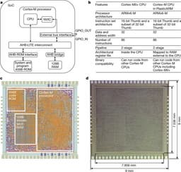 Специалисты Arm и PragmatIC Semiconductor создали «изначально гибкий» 32-разрядный микропроцессор PlasticARM