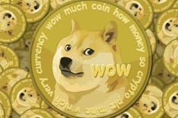 Илону Маску на радость. Burger King в Бразилии начал принимать Dogecoin