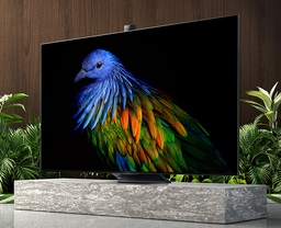 75 дюймов, 4K QLED 120 Гц, Wi-Fi 6, 100 Вт звука, 48 Мп. В Китае стартуют продажи топовых телевизоров Xiaomi Mi TV 6 Extreme Edition