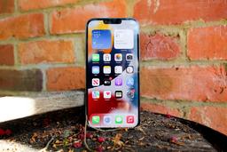 Сроки доставки iPhone 13 и iPhone 13 mini уже сократились. Возможно, дело в не очень высоком спросе