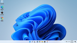 Мрачное наследие Windows 10: на компьютерах с Windows 11 выявлено множество проблем при использовании около 100 моделей принтеров Brother