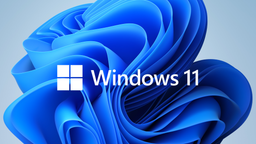 Захватить за три недели почти 5% мирового рынка ПК. Windows 11 распространяется не просто быстро, а очень быстро