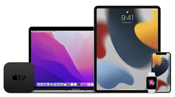 iOS 15.1 и iPad OS 15.1 выйдут 25 октября: информация от сотрудника Apple