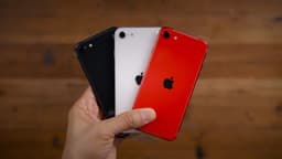 Новые iPhone SE и iPad Air одобрены для России