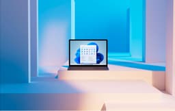 Поддельный установщик Windows 11 крадёт данные кредитных карт и пароли криптовалютных кошельков
