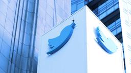 Глава отдела по работе с криптовалютой в Twitter покинула свой пост после сокращения штата Илоном Маском