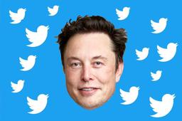 СМИ: Маск думает, не сделать ли Twitter платным для всех пользователей