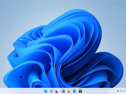 Windows 11 до сих немногим популярнее, чем Windows 7. Новые данные Statcounter