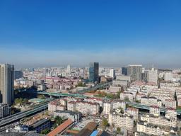 Так снимает 160-мегапиксельная камера Honor 80 Pro