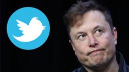 Илон Маск посетовал на падение прибыли Twitter, а меж тем компания уволила более половины своих сотрудников в Индии