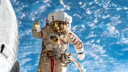 Российские учёные обсуждают необходимость внедрения генных технологий при отборе в космонавты