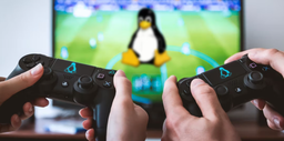 Видеокарты GeForce в Linux показывают себя лучше карт Radeon, согласно свежим тестам