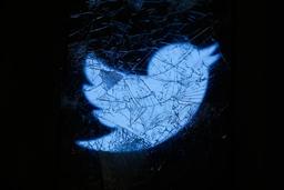 Илон, это всё ради денег? Twitter хочет продавать данные пользователей рекламодателям