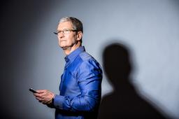 Apple и Meta* передали данные пользователей хакерам