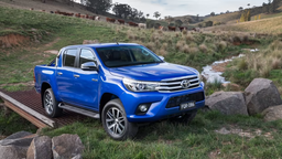 Toyota должна выплатить владельцам рамных внедорожников 1,5 миллиарда долларов