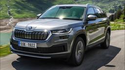 Продажи Skoda в России рухнули на 71%, а Skoda Kodiaq попал в топ самых продаваемых автомобилей
