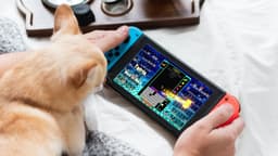 Nintendo Switch слишком быстро разряжаются. Временное решение есть