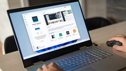 Windows XP всё ещё значительно популярнее Windows 11 по всему миру