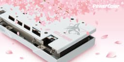Видеокарта для девочек? PowerColor готовит бело-розовую Radeon RX 6650 XT