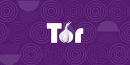 Роскомнадзор потребовал удалить анонимный браузер Tor из Google Play