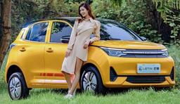 48 л.с., запас хода до 300 км и цена от 5900 долларов. В Китае представлен четырехдверный электромобиль Letin Mengo, рассчитанный на людей с месячным доходом около 150 долларов