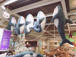 Россияне так и не могут что-то заказать в IKEA: теперь им предлагают пользоваться онлайн-формой, которая не работает