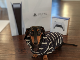 Sony повысила производительность PlayStation 5 и добавила новые опции