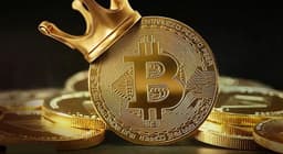 Bitcoin принялся дорожать — плюс 6% за сутки и больше 11% за неделю. Остальные криптовалюты тоже растут