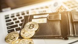 Исследование: 38% наёмных сотрудников готовы получать зарплату в криптовалюте