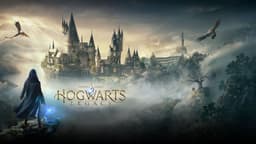 Это не эксклюзив PlayStation, но всё равно на этих консолях игра будет уникальной. Для приставок Sony игра Hogwarts Legacy предложит эксклюзивный квест