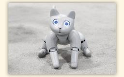 На выставке IFA 2022 показали сразу двух милых роботов-котов