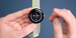 Некоторые Pixel Watch начали сообщать о нерегулярном сердечном ритме, хотя и не поддерживают эту функцию