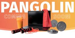 Идеальный ноутбук для разработчика? Представлен System76 Pangolin c Ryzen 7 6800U, 144-герцевым экраном, 32 ГБ ОЗУ и Ubuntu 22.04
