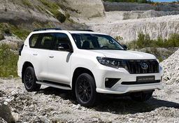 Toyota Land Cruiser Prado и Toyota RAV4 — самые продаваемые «японцы» на российском рынке новых авто в первом квартале 2023 года