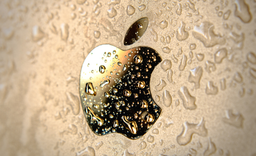 Apple отказалась от российских вольфрама, тантала и золота. Samsung продолжает их использовать