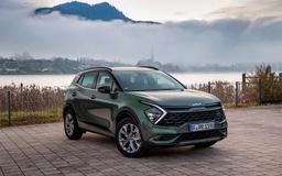 В России закончились официальные Hyundai Creta и Kia Rio, зато Kia Sportage с 5-летней гарантией ещё остались