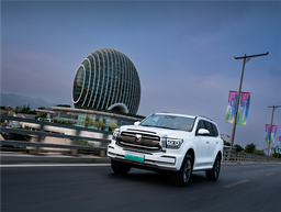 Китайский аналог Toyota Land Cruiser Prado оценили в 50 тыс. долларов. Такова цена Tank 500 Hi4-T