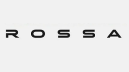Появился новый российский автомобильный бренд — Rossa
